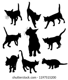 Cat Silhouette Set vector illustration.