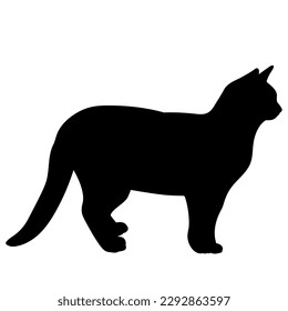 cat silhouette, side view, standing vector, cat breeds, pet, animals 