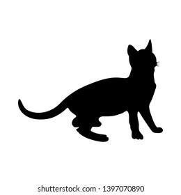 Cat Silhouette. Smooth and Clear. Vector Illustration. 