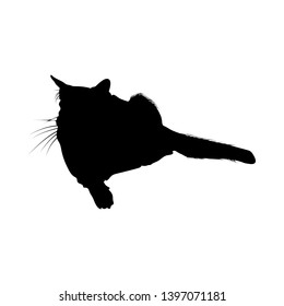 Cat Silhouette. Smooth and Clear. Vector Illustration. 