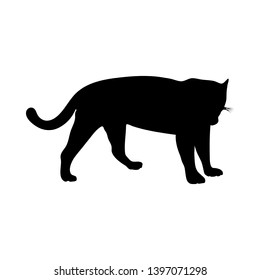 Silhueta de Gato. Suave e claro. Ilustração de vetor. 