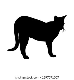 Cat Silhouette. Smooth and Clear. Vector Illustration. 
