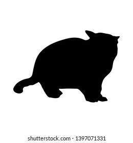 Cat Silhouette. Suave y transparente. Ilustración vectorial. 