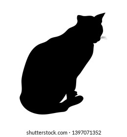 Cat Silhouette. Suave y transparente. Ilustración vectorial. 