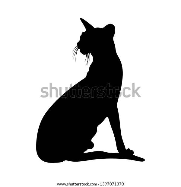 Silhouette Isolee Chat Assis Image Vectorielle De Stock Libre De Droits Silhouette Isolee Chat Assis Image Vectorielle De Stock Libre De Droits