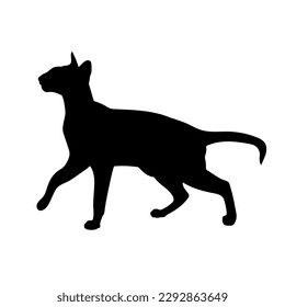 cat silhouette, sphinx, side view vector, cat breeds, pet, animals cat.
