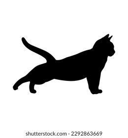 cat silhouette, stretches, warms up vector, cat breeds, pet, animals cat.