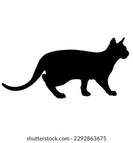 cat silhouette, there is a side view vector, cat breeds, pet, animals cat.