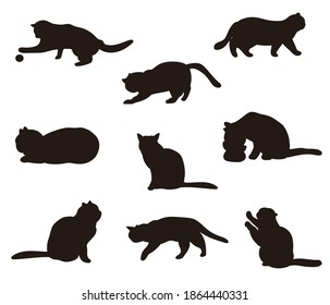 cat silhouette. various gestures. vector illustration set.