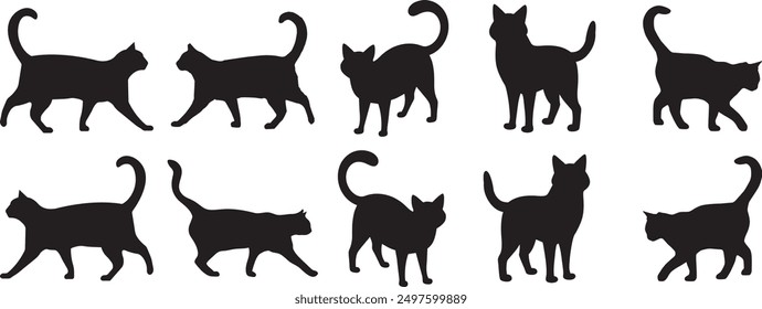 Cat silhouette vector art illustration. black silhouette Cat