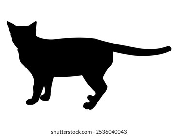 Cat Silhouette Vector. Black Pet Illustration on White Background.