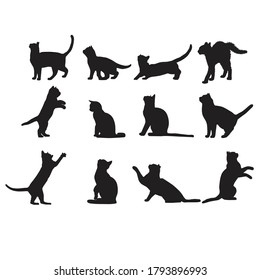Cat Silhouette Vector Black and White