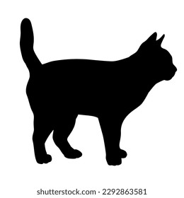 cat silhouette, vector, cat breeds, pet, side view, standing animals cat.
