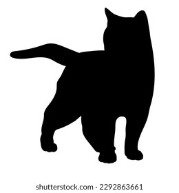 cat silhouette, vector, cat breeds, pet, animals cat. standing in front of