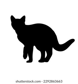 silueta de gato, vector, razas de gatos, mascota, gato de animales. de pie, con vista lateral, escondió su garra