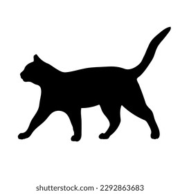 cat silhouette, vector, cat breeds, pet, animals cat. walking, sneaking side view