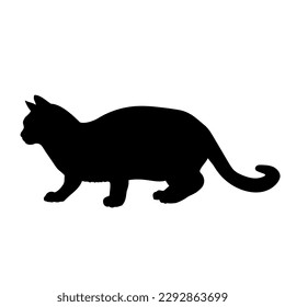 cat silhouette, vector, cat breeds, pet, walking, sneaking side view animals cat.