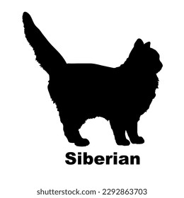 cat silhouette, vector, cat breeds, pet, animals cat.