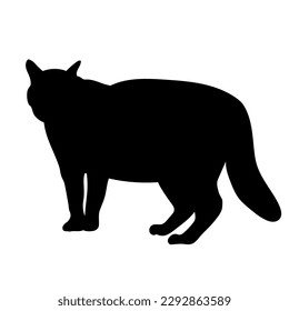 cat silhouette, vector, cat breeds, side view, standing, animals cat.
