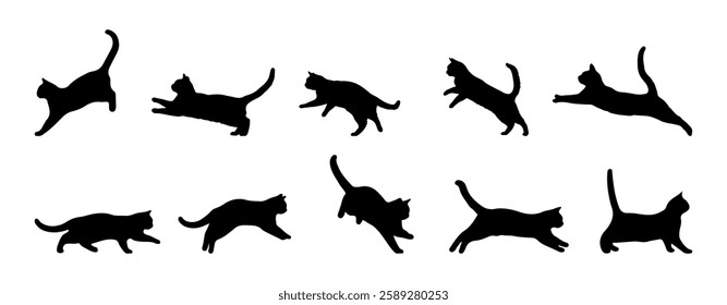 Cat silhouette vector collection, in different poses isolated on a white background. Cat silhouette in doodle drawing style.