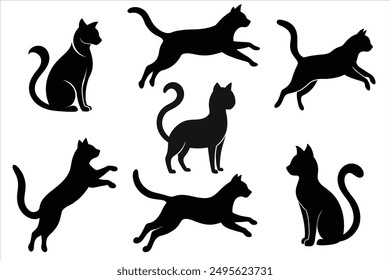 Colección de Vector de la silueta del gato aislada en el fondo blanco