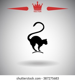Cat silhouette vector icon.