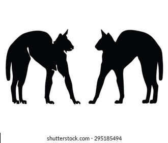 cat silhouette vector illustration