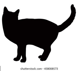 Cat silhouette, vector illustration.