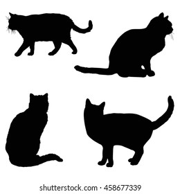 Cat silhouette, vector illustration.