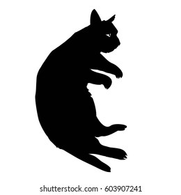 cat silhouette - vector illustration