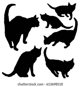 cat silhouette - vector,  illustration