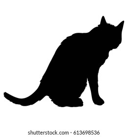 cat silhouette - vector,  illustration