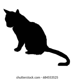 cat silhouette - vector illustration