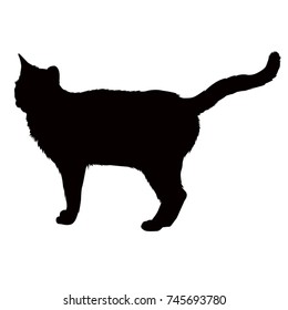 Cat silhouette, vector illustration