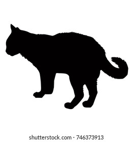 Cat silhouette, vector illustration