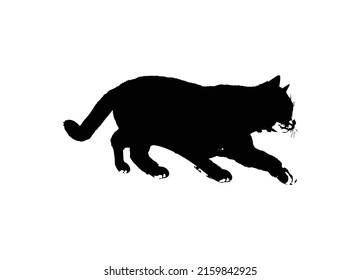 Cat Silhouette Vector Illustration Cat Vector Stock Vector (Royalty ...