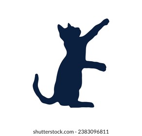 Cat silhouette. Vector silhouette of cat on white background. black cat isolated on white background. cutout cat. hand drawn design. vector illustration.
