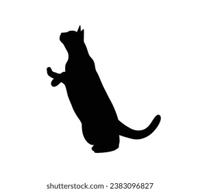 Cat silhouette. Vector silhouette of cat on white background. black cat isolated on white background. cutout cat. hand drawn design. vector illustration.