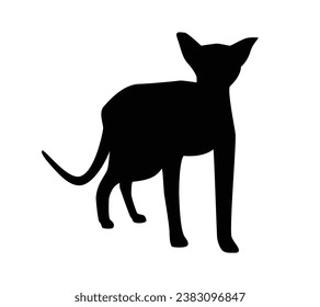 Cat silhouette. Vector silhouette of cat on white background. black cat isolated on white background. cutout cat. hand drawn design. vector illustration.