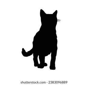 Cat silhouette. Vector silhouette of cat on white background. black cat isolated on white background. cutout cat. hand drawn design. vector illustration.
