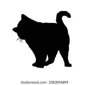 Cat silhouette. Vector silhouette of cat on white background. black cat isolated on white background. cutout cat. hand drawn design. vector illustration.