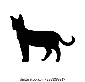 Cat silhouette. Vector silhouette of cat on white background. black cat isolated on white background. cutout cat. hand drawn design. vector illustration.