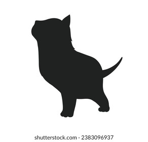 Silueta de gato. Silueta vectorial de gato sobre fondo blanco. gato negro aislado de fondo blanco. gatito. diseño dibujado a mano. ilustración vectorial.