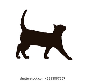 Silueta de gato. Silueta vectorial de gato sobre fondo blanco. gato negro aislado de fondo blanco. gatito. diseño dibujado a mano. ilustración vectorial.