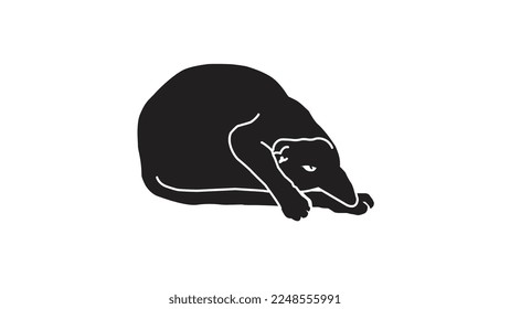 gato, silueta de gato, vector de gato, sombra, negro y blanco