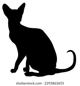 cat silhouette, vector sphinx, side view, cat breeds, pet, animals cat.