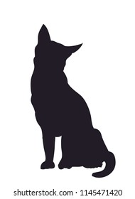 Cat silhouette, vector, white background