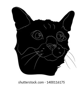 Cat silhouette vector, white background, cat portrait