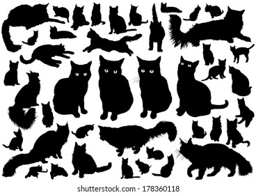 Cat silhouettes