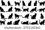 Cat silhouettes collection featuring sitting, standing, walking and lying domestic cats isolated on white background animal illustration set